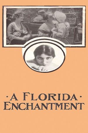 A Florida Enchantment's poster image