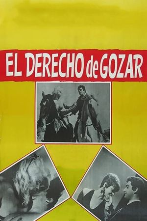 El derecho de gozar's poster