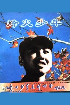 Feng huo shao nian's poster