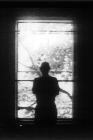 Window's poster