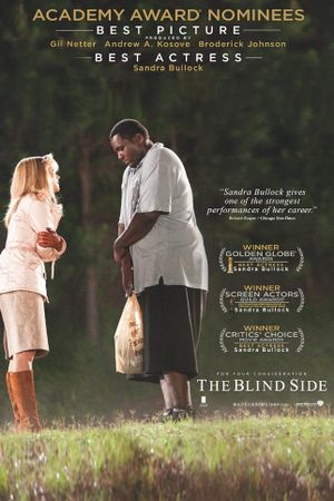 The Blind Side's poster