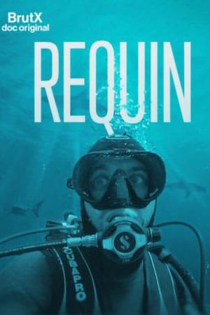 Requin's poster