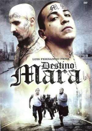 Destino Mara's poster