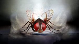 Eega's poster