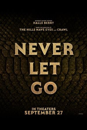 Never Let Go's poster image