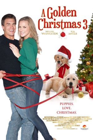 A Golden Christmas 3's poster