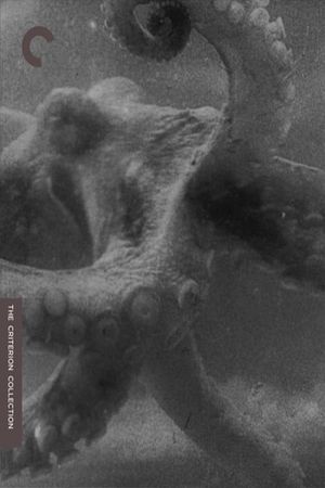 The Octopus's poster