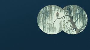 The Swan's poster