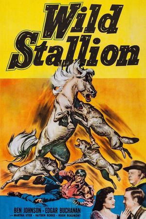 Wild Stallion's poster