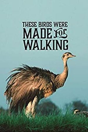 These Birds Were Made for Walking's poster