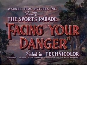 Facing Your Danger's poster