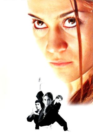 Fighter's poster
