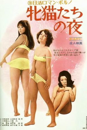 Night of the Felines's poster