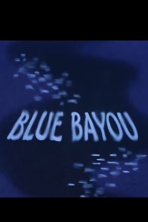 Blue Bayou's poster