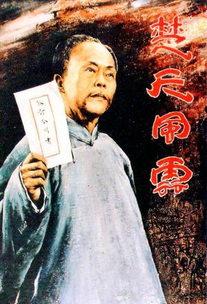 Dong Biwu: A Veteran Revolutionary's poster