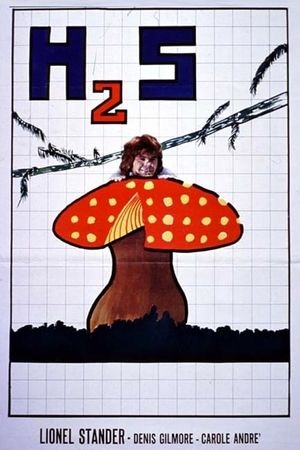 H2S's poster