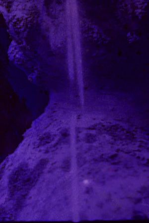 CICATRIX's poster