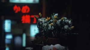 Winter's Flower's poster