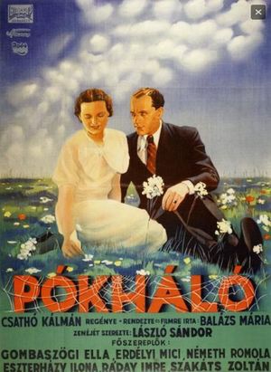 Pókháló's poster
