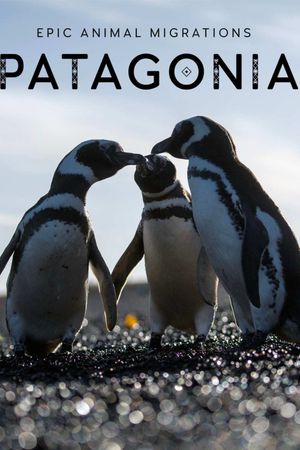 Epic Animal Migrations: Patagonia's poster