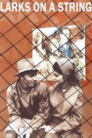 Larks on a String's poster