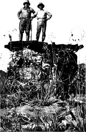 The River of Doubt's poster