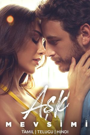 Season of Love's poster