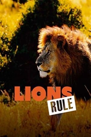 Lions Rule's poster