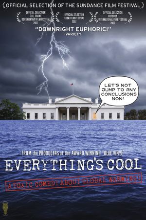 Everything's Cool's poster