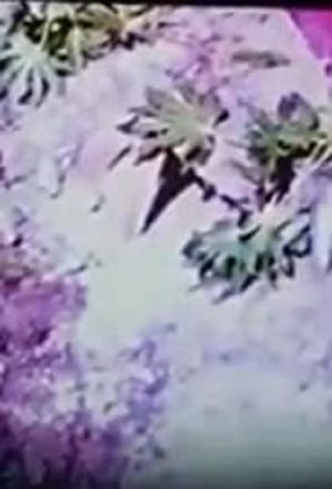 Prehistoric Caveman's poster