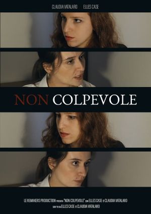 Non colpevole's poster