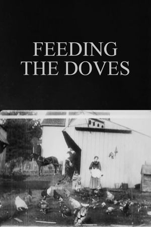 Feeding the Doves's poster