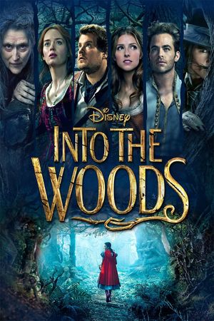 Into the Woods's poster