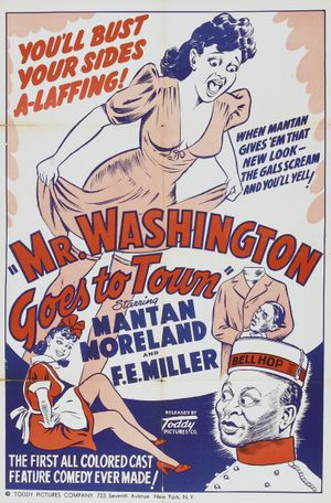 Mr. Washington Goes to Town's poster
