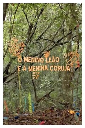 O Menino Leão e a Menina Coruja's poster