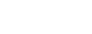 Mufasa: The Lion King's poster