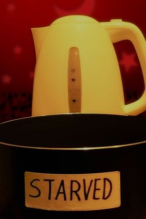 STARVED's poster