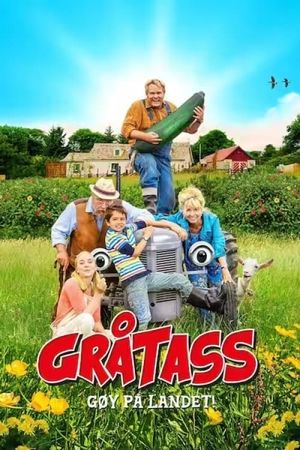 Little Grey Fergie: Country Fun!'s poster