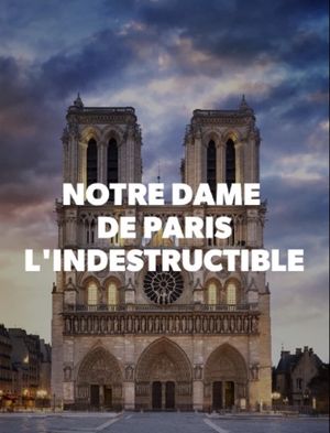 Notre-Dame de Paris, l'indestructible's poster