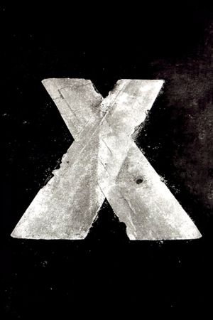 X's poster image