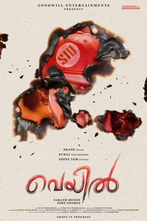 Veyil's poster
