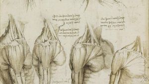 Leonardo's Diary's poster