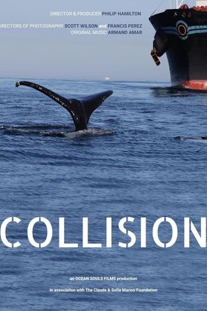 Collision's poster