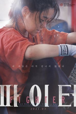 Fighter's poster