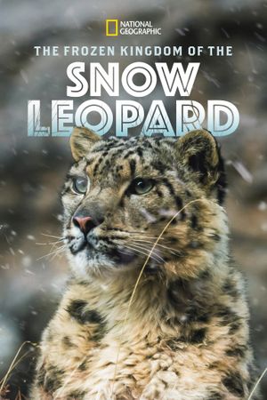 The Frozen Kingdom of the Snow Leopard's poster