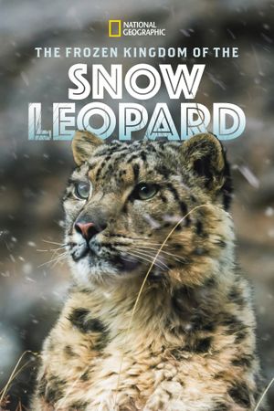 The Frozen Kingdom of the Snow Leopard's poster image