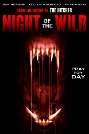 Night of the Wild's poster