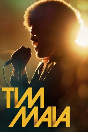 Tim Maia's poster