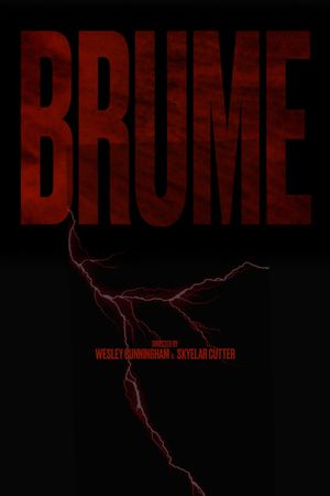 BRUME's poster