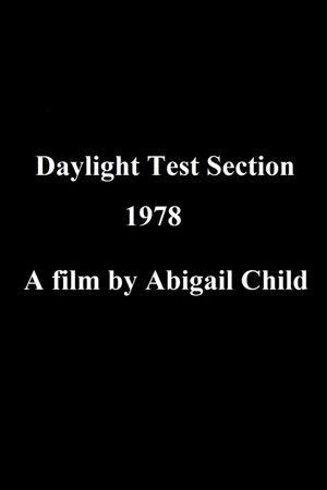 Daylight Test Section's poster